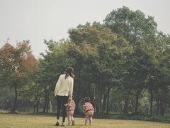 -宝界山林公园
