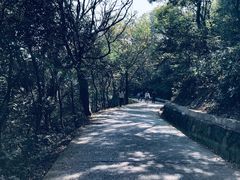 -紫金山山顶公园
