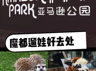 魔都遛娃好去处~亚马逊公园