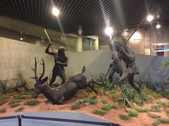 -北京周口店北京人遗址博物馆