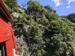 -王顺山国家森林公园