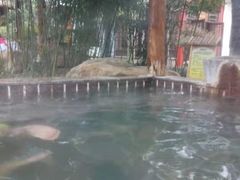 -观唐（国际）度假村温泉