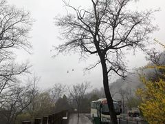 -泰山风景名胜区