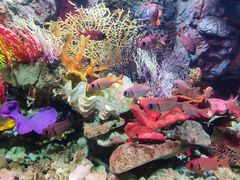 -太平洋海底世界