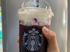 -星巴克(金茂大厦店)