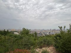 -泰山风景名胜区-虎山公园