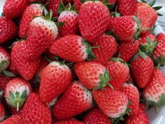 -派悦坊·甜品·蛋糕(日坛店)