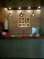 -ODIN 奥丁形象设计 