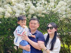 -铁山坪森林公园