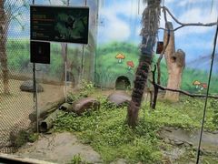 -杭州野生动物世界