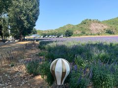 -紫海香堤香草艺术庄园