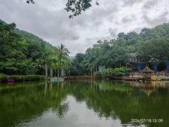 -西双版纳原始森林公园