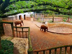 -杭州动物园