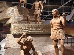 -武汉园博园(武汉自然博物馆)