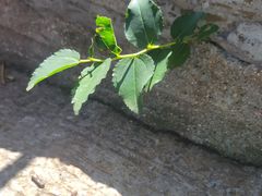 -青州市云门山风景区