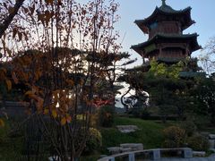 -迎泽公园