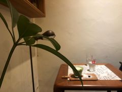 -懒鱼时光馆(沙坪坝店)