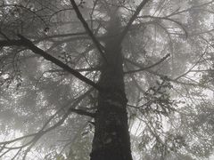 -九峰山