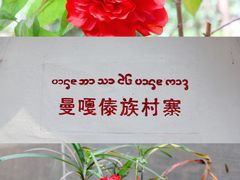 -西双版纳傣族园