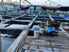 -蓝湾碧波·老字号·疍家非遗海上餐厅