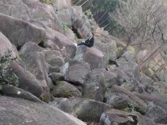-山沟沟景区