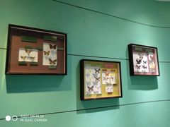 -上海昆虫博物馆