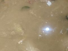 -小骨煲金华砂锅(转塘金街美地店)