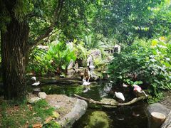 -奥兰多迪士尼动物王国乐园