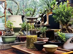 -正源安吉白茶特产享购商场(安吉店)