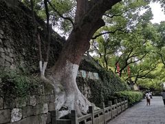 -吴山景区