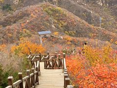 -大岭沟猕猴桃谷风景区