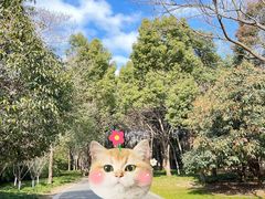 -扬州市茱萸湾风景区