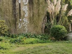 -白鹭湾湿地公园