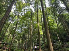 -凤栖山