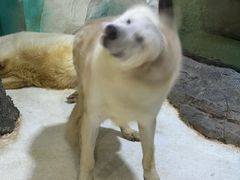 -大连圣亚海洋世界