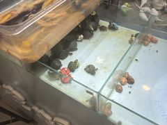 -万达广场(南京江宁店)