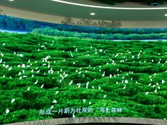 -东寨港红树林旅游区