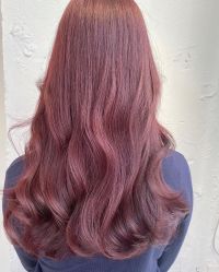 -THE LOG SALON 记录