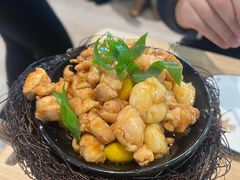 -丁老爷子苏香圆