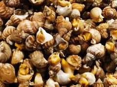 炒海螺-板桥海鲜广场11排2号