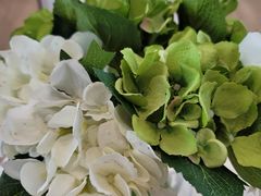 -千枝花·按摩·美容·经络SPA(建旺大厦店)