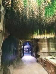 -酷嗒动物文化乐园(cutezoo西溪乐天城店)