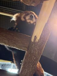 -Zoolung Zoolung动物主题公园(海信广场店)