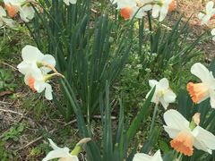 -昆山城市生态森林公园