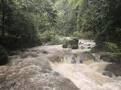 -赤水丹霞旅游区·佛光岩