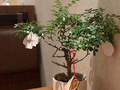 -CURRY YA 熟成咖哩專門店(深圳湾万象城店)