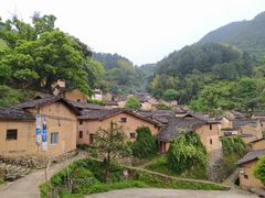 -杨家堂村