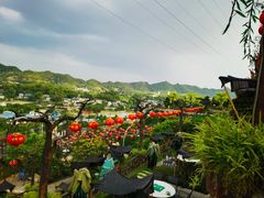 -枇杷园食为鲜火锅(南山店)