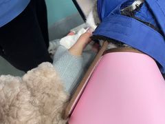 -高德24h动物医院