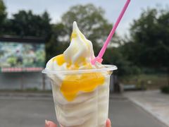 -大雁山风景区